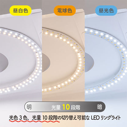 ナカバヤシ SAC-BOX04W 撮影BOX LEDリングライト付き