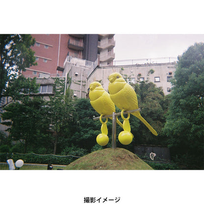 ナカバヤシ CAM-F301WH フィルムナカメラ daylight ホワイト