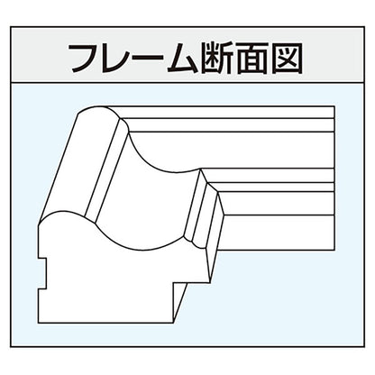 ナカバヤシ フ-KWP-31 樹脂製賞状額 B5 金ケシ