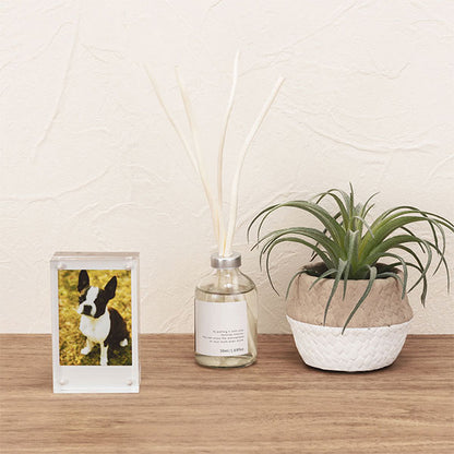 ナカバヤシ フ-ACM-CK アクリルマグネットフレーム チェキ