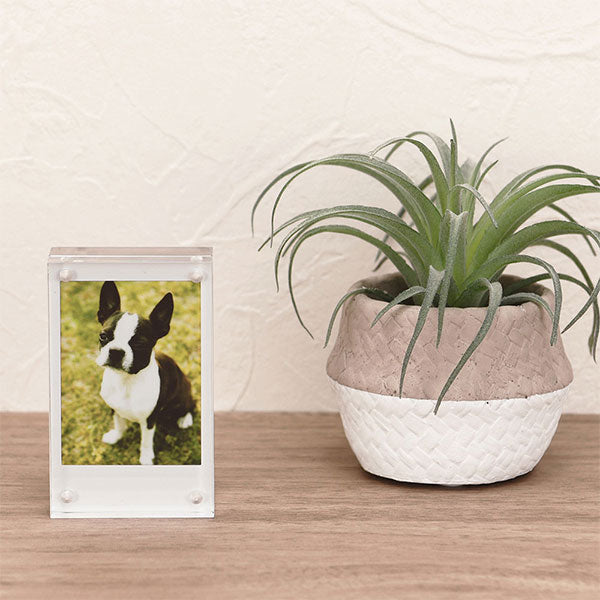 ナカバヤシ フ-ACM-CK アクリルマグネットフレーム チェキ