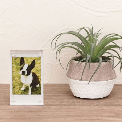 ナカバヤシ フ-ACM-CK アクリルマグネットフレーム チェキ