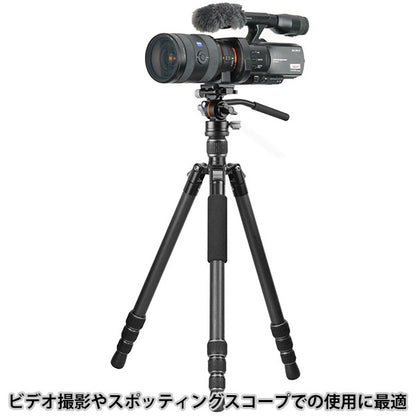 《7月12日発売予定》 バンガード VANGUARD VESTA GO 264CV12 カーボントラベル三脚 4段 ビデオ雲台付き【予約】