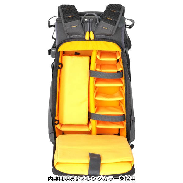 《3月27日発売予定》 バンガード VANGUARD ALTA SKY 52 バックパック カメラバッグ 20L 【予約】