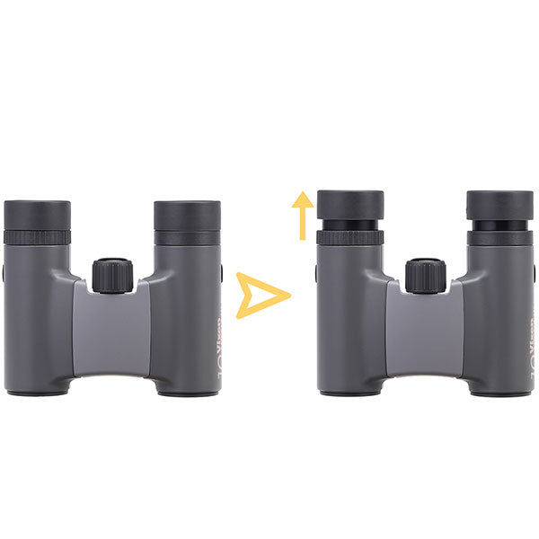 ビクセン アリーナH+ 10×21WP グレー