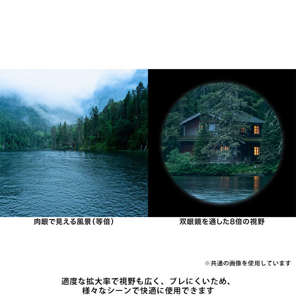 ビクセン 8倍 双眼鏡 コールマン M8×21 (W) 14602 スノーホワイト
