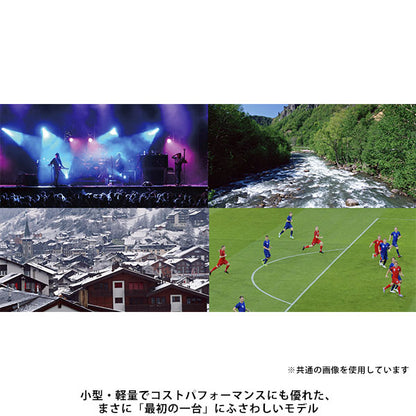 ビクセン 8倍 双眼鏡 コールマン M8×21 (W) 14603 ペールグレー