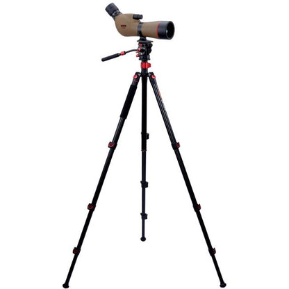 ビクセン ジオマIII ED65 ZOOM M-174 三脚セット