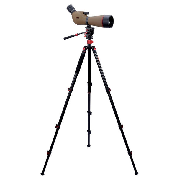 ビクセン ジオマIII ED80 ZOOM M-174 三脚セット