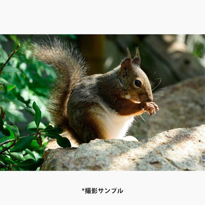 タムロン 18-300mm F/3.5-6.3 Di III-A VC VXD (Model-B061) ソニーEマウント用