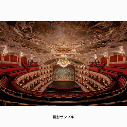 タムロン 12-20mm F/2.8 (Model A084) ニコンZマウント用