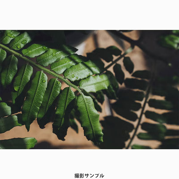 タムロン 17-70mm F/2.8 Di III-A VC RXD (Model B070) ニコンZマウント用