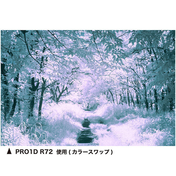 ケンコー・トキナー 82 S Kenko PRO1D R72 N 82mm