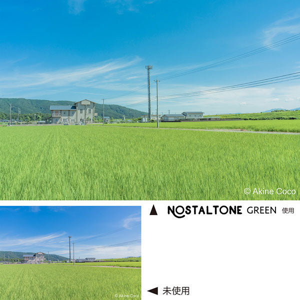 ケンコー・トキナー 55s Kenko ノスタルトーン グリーン 55mm