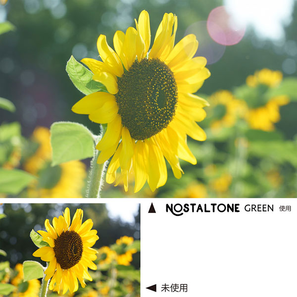 ケンコー・トキナー 49s Kenko ノスタルトーン グリーン 49mm