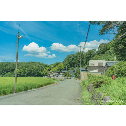 ケンコー・トキナー 49s Kenko ノスタルトーン グリーン 49mm