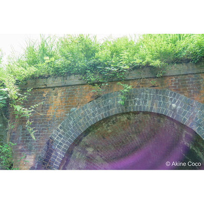 ケンコー・トキナー 49s Kenko ノスタルトーン グリーン 49mm