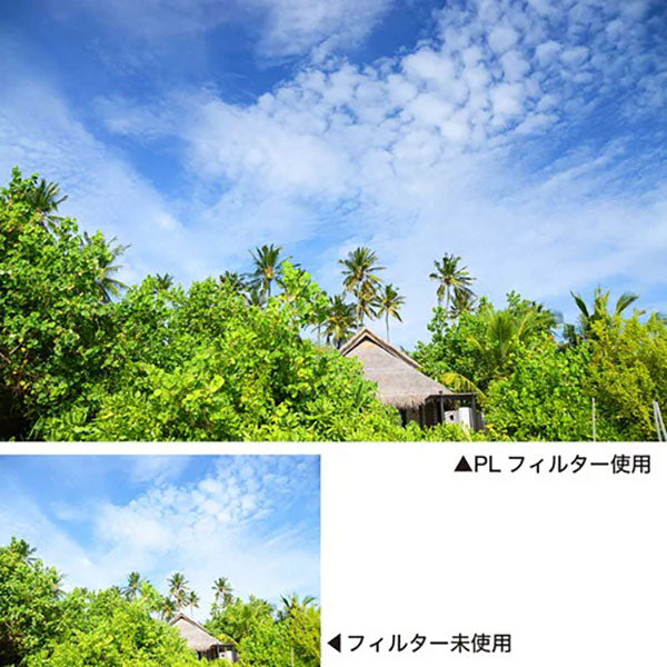 《12月12日発売予定》 ケンコー・トキナー 77S Kenko PRO1D C-PL(W) N 77mm 【予約】