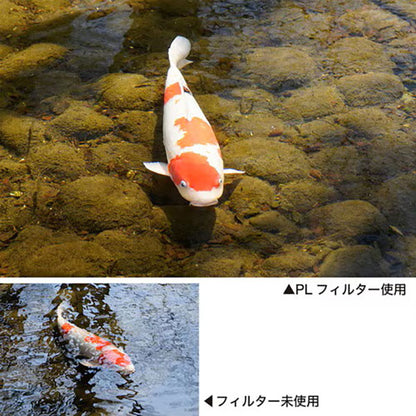 《12月12日発売予定》 ケンコー・トキナー 67S Kenko PRO1D C-PL(W) N 67mm 【予約】