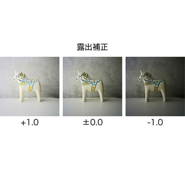 ケンコー・トキナー PIENIFLEX M Kenko トイカメラ