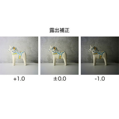 ケンコー・トキナー PIENIFLEX M Kenko トイカメラ