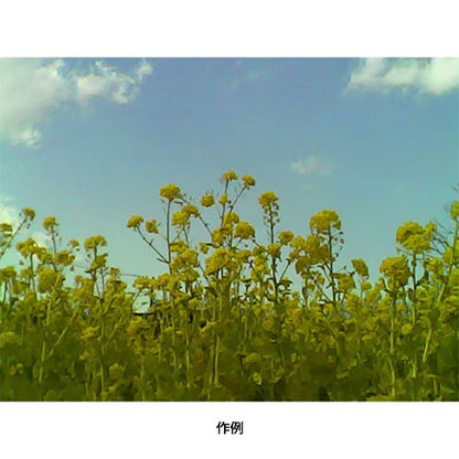 ケンコー・トキナー KC-RD90CP Kenko レトロデジ90 シティポップ ※欠品：納期未定（4/10現在）