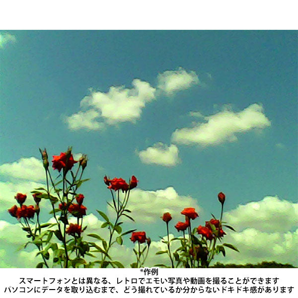 ケンコー・トキナー DSC-PIENI SW PC サンリオキャラクター トイカメラ SWEETS ポチャッコ