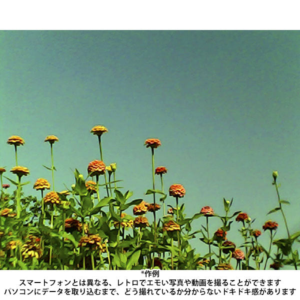 ケンコー・トキナー DSC-PIENI SW KU サンリオキャラクター トイカメラ SWEETS クロミ