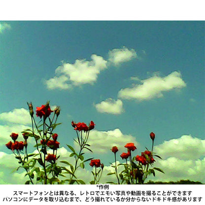 ケンコー・トキナー DSC-PIENI SW HG サンリオキャラクター トイカメラ SWEETS ハンギョドン