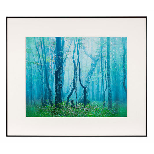 ケンコー・トキナー AGY-Z-BW ギャラリー 全紙 ブラック/ホワイト