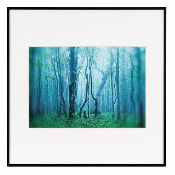 ケンコー・トキナー AGY-A4SQ-BW ギャラリー A4スクエア ブラック/ホワイト