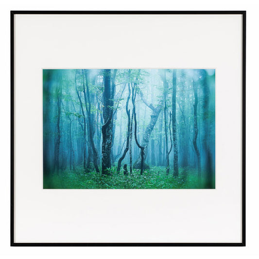 ケンコー・トキナー AGY-A4SQ-BW ギャラリー A4スクエア ブラック/ホワイト