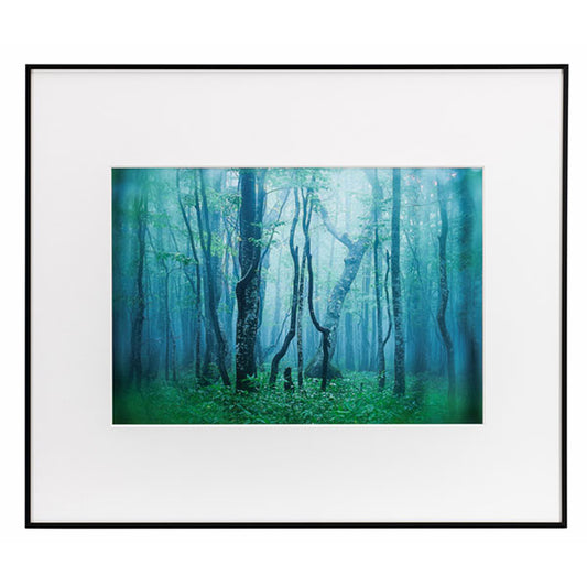 ケンコー・トキナー AGY-A3-BW ギャラリー A3 ブラック/ホワイト