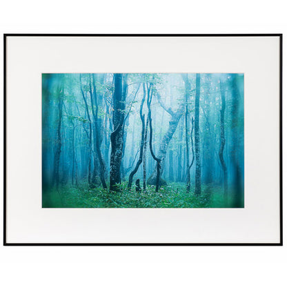 ケンコー・トキナー AGY-A3N-BW ギャラリー A3ノビ ブラック/ホワイト