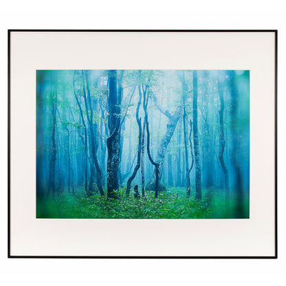 ケンコー・トキナー AGY-A2-BW ギャラリー A2 ブラック/ホワイト