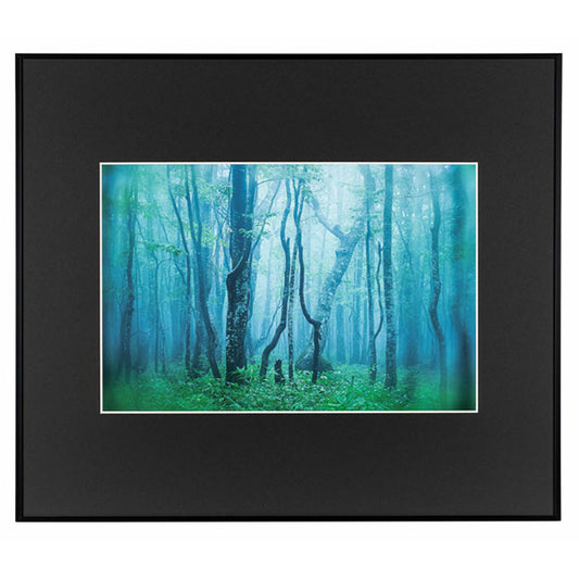 ケンコー・トキナー AGY-A3NT-BK ギャラリー A3ノートリミング ブラック