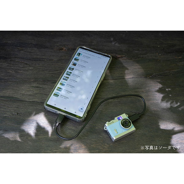 ケンコー・トキナー DSC-PIENI III SB トイカメラ Pieni III ストロベリー