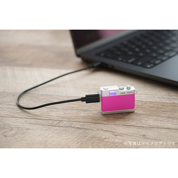 ケンコー・トキナー DSC-PIENI ST HG サンリオキャラクター トイカメラ STREET ハンギョドン