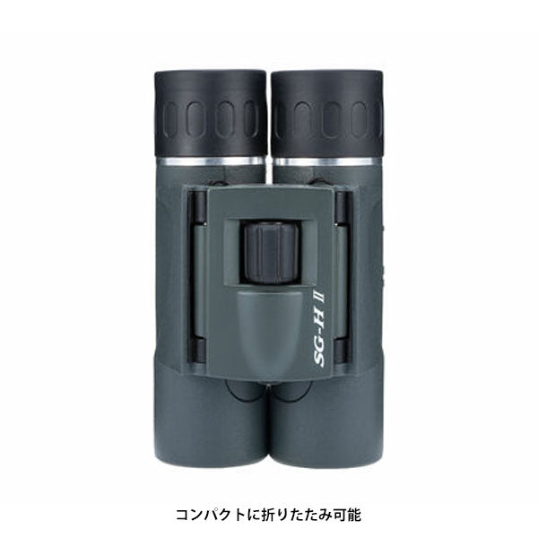 ケンコー・トキナー SG-HII 12×24 ダハプリズム式 双眼鏡