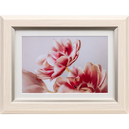 ケンコー・トキナー JGM-2L-IV グレイスメロウMiu（ミウ） 2L / KG兼用アイボリー