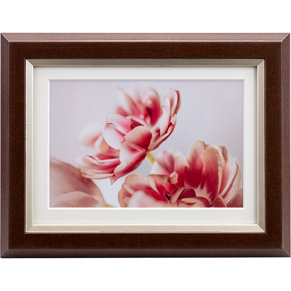 ケンコー・トキナー JGM-2L-BR グレイスメロウMiu（ミウ） 2L / KG兼用 ブラウン