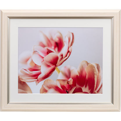 ケンコー・トキナー JGM-6-IV グレイスメロウMiu（ミウ）六切 アイボリー