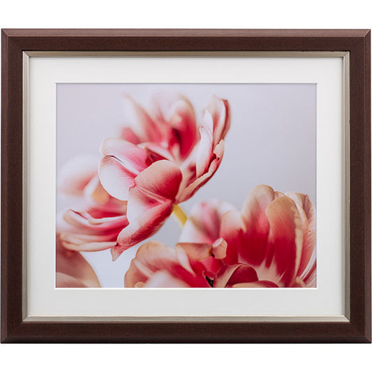 ケンコー・トキナー JGM-6-BR グレイスメロウMiu（ミウ）六切 ブラウン