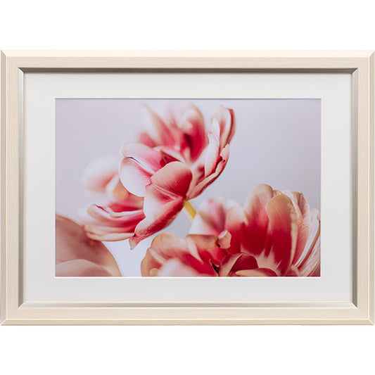 ケンコー・トキナー JGM-A4-IV グレイスメロウMiu（ミウ）A4・ワイド六切 / B4兼用 アイボリー