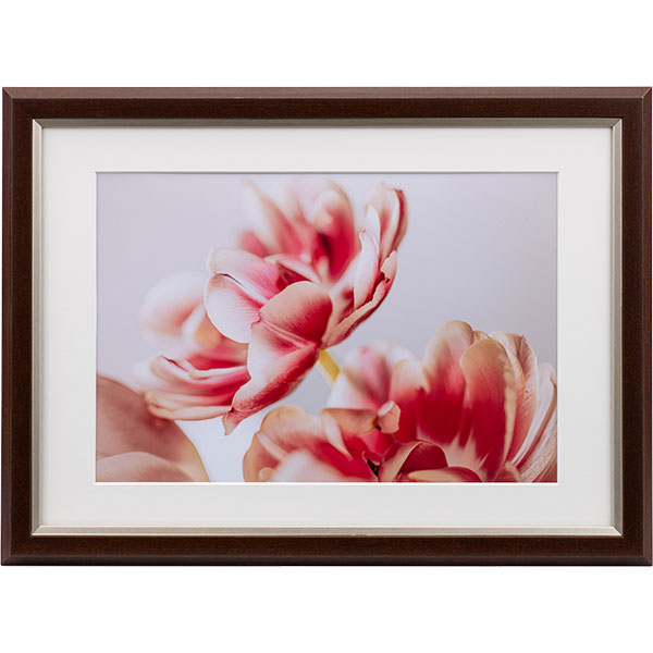 ケンコー・トキナー JGM-A4-BR グレイスメロウMiu（ミウ）A4・ワイド六切 / B4兼用 ブラウン