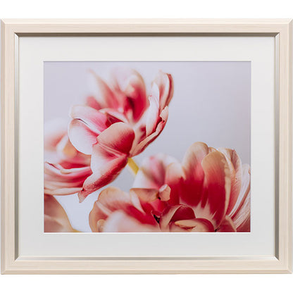 ケンコー・トキナー JGM-4-IV グレイスメロウMiu（ミウ）四切 アイボリー