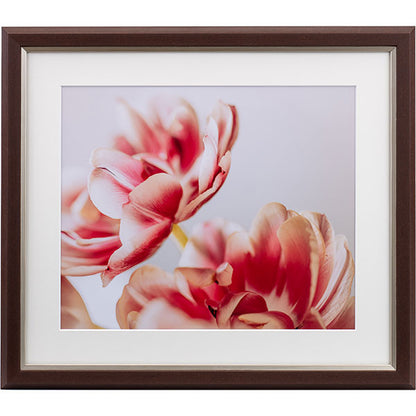 ケンコー・トキナー JGM-4-BR グレイスメロウMiu（ミウ）四切 ブラウン