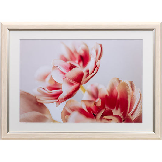 ケンコー・トキナー JGM-W4-IV グレイスメロウMiu（ミウ）ワイド四切 / A3兼用 アイボリー