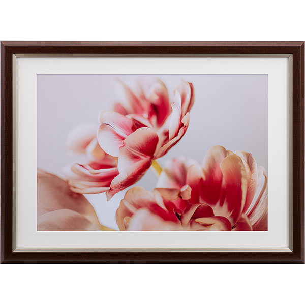 ケンコー・トキナー JGM-W4-BR グレイスメロウMiu（ミウ）ワイド四切 / A3兼用 ブラウン