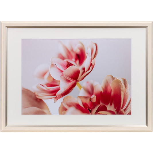 ケンコー・トキナー JGM-A3-IV グレイスメロウMiu（ミウ）A3 / B3兼用 アイボリー